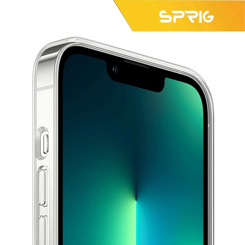 pro1