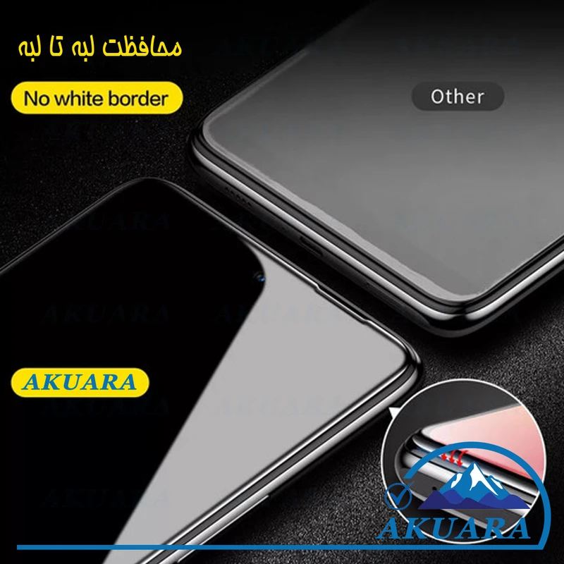pro1