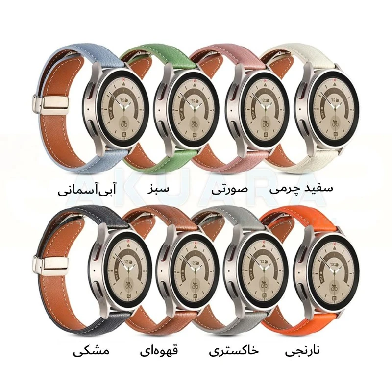 pro1